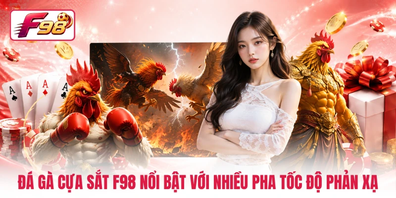 Đá gà cựa sắt F98 nổi bật với nhiều pha tốc độ phản xạ